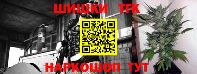 бошки Кингисепп